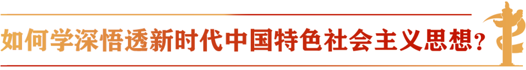 全党开展新一轮主题教育 总书记划重点