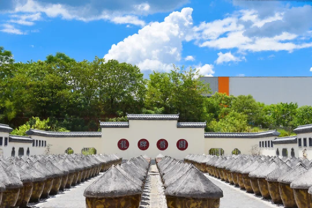 龙牌食品股份1(1).png